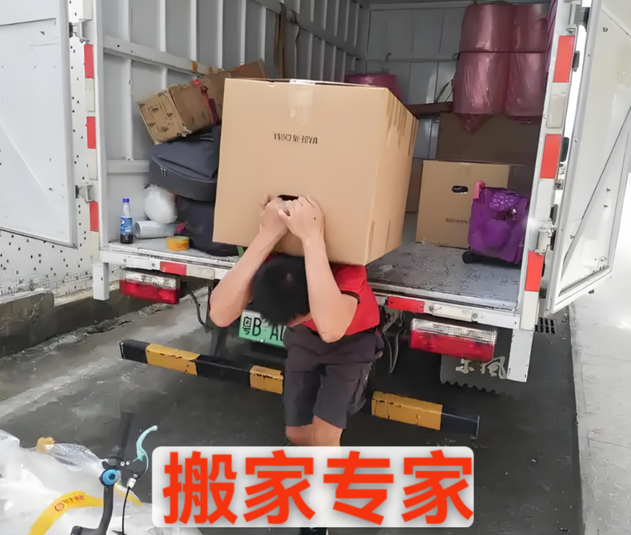 专业搬家与小型货运服务